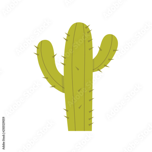 Green cactus isolated on white background