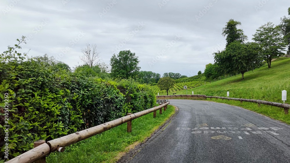 Obraz premium Winding Rural Road Through Saint-Emilion Vineyards Under Overcast Skies
