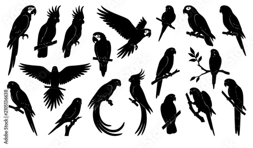 Konstfotografi Tropical Parrot Silhouette Set with Black Flying and Perched Bird Vector Illustr