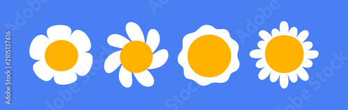 Summer daisy flowers set, top above view. Sunny blooms, floral design element...