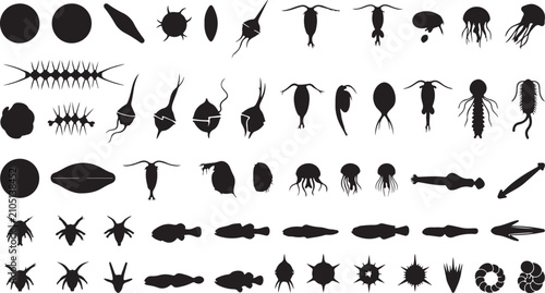 Foto Black and white vector microscopic organisms set