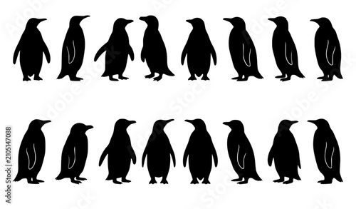 Photos Black Penguin Silhouettes Collection in Two Rows with Standing Antarctic Bird Ve