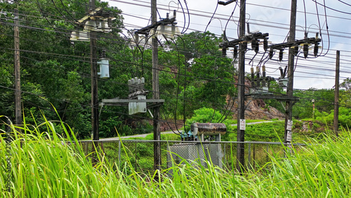 Power Substation Amidst Nature: A functional electrical substation with transformers and high-voltage equipment is situated amidst lush greenery and tall grass.