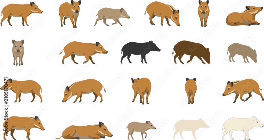 Obraz premium Collection of wild boar and piglet illustrations in flat vector style featuring different poses and color variations