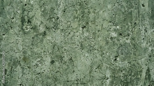 Close up of dense green leafy plant foliage texture.