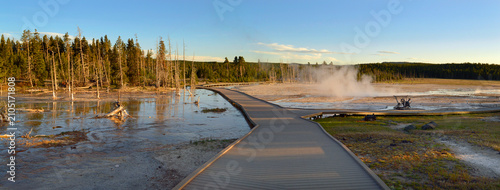 Принти на полотні A boardwalk in Yellowstone national  park, Wyoming , USA