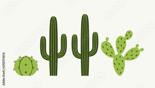 Diverse set of green cactus illustrations including saguaro and prickly pear cacti in a clean graphic style.