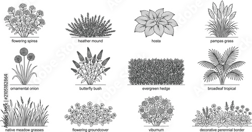Quadro su tela Hand drawn botanical line art set of garden plants shrubs and ornamental grasses