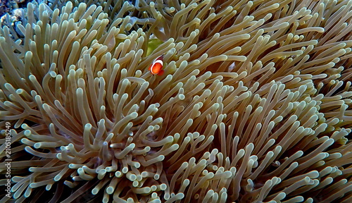 Foto Philippines