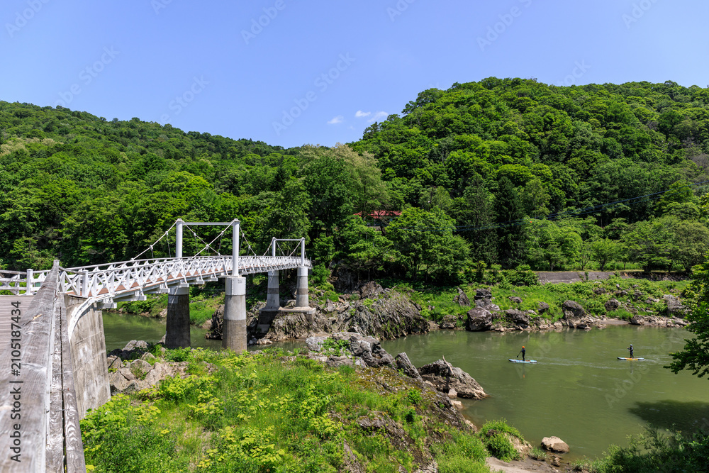 Fototapeta premium 北海道旭川市、石狩川を進むSUPと神居大橋【6月】