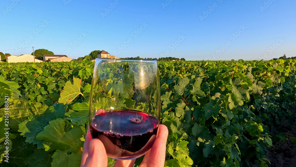 Obraz premium Red Wine Glass Held Over Lush Bordeaux Vineyard at Sunset