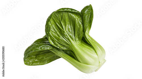 Tableau sur toile Fresh bok choy with water droplets