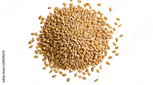 Photos Pile of golden wheat grains scattered on white