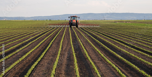 Agricultural machinery sprays crops with pesticide.