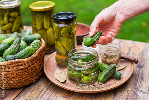 Pickled cucumbers