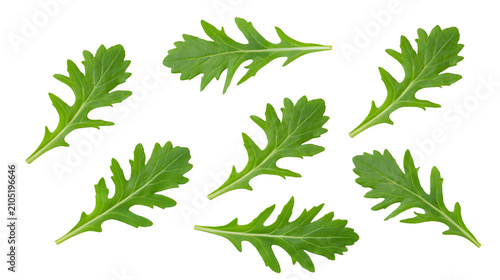 Schilderij op canvas Green arugula leaves scattered on white