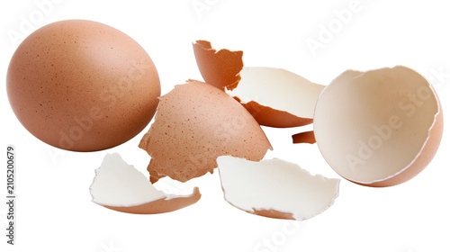 Foto Whole brown egg and broken eggshell fragments