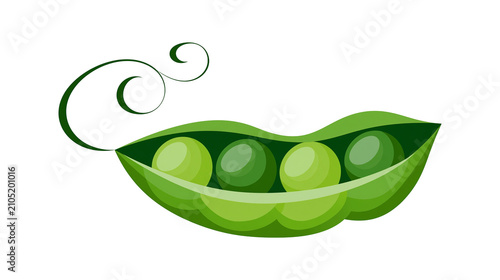 Quadro su tela Green pea pod with four peas and curly stem