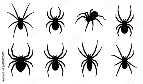 Foto Spider vector silhouette collection set of eight various arachnid insects and cr