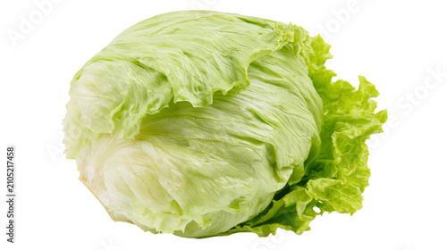Принти на полотні Crisp iceberg lettuce head with light green and white leaves