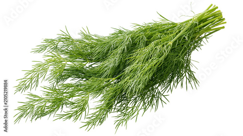 Foto Fresh green dill herb bunch with feathery leaves