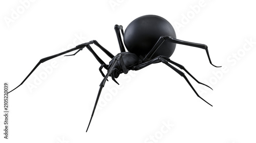 Foto Black widow spider with large abdomen and thin legs