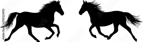Canvastavla Black silhouettes of two running horses, wild mustang stallions trotting vector