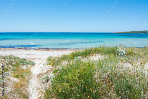 Turquoise ocean water meeting sandy beach with dunes