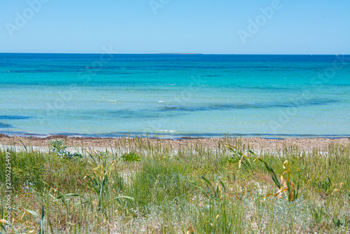 Turquoise ocean water meeting sandy beach with dunes