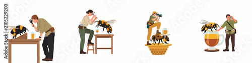 Foto Collection of scientists and entomologists observing, photographing, and researching giant honey bees in a stylized flat vector illustration set isolated on white