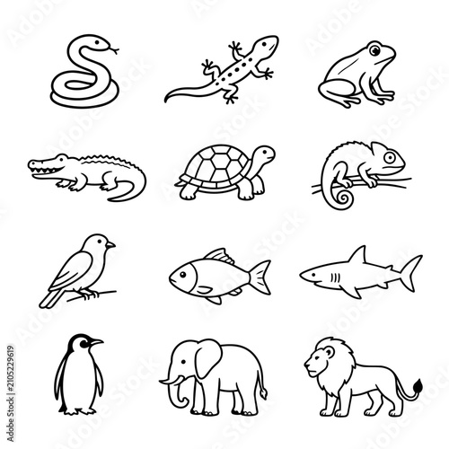 Black and white vector illustration of various animals and reptiles