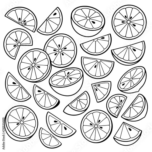 Black and white vector illustration of various lemon slices design