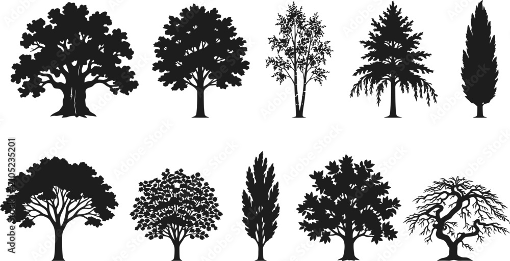 Fototapeta premium Detailed Tree Silhouettes Vector Set - Diverse Forest, Park, and Garden Botanical Shapes