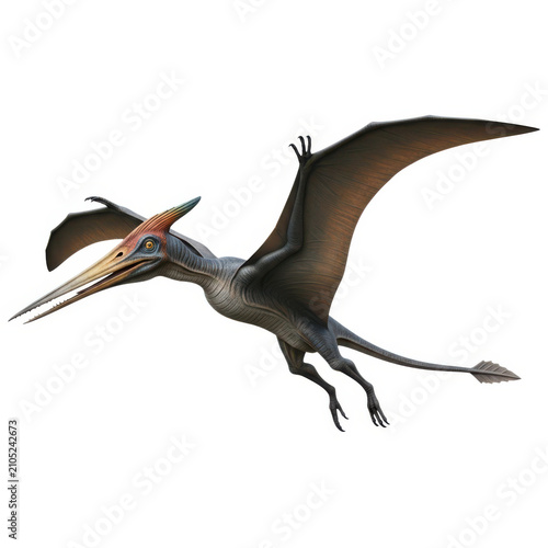 A digital illustration of a pterosaur in flight against a white background.