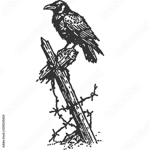 Cuadro en lienzo No Man's Land Vintage Illustration Vector