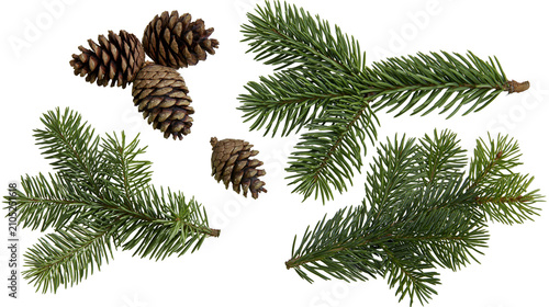 Canvastavla Pine cones and fir branches natural elements