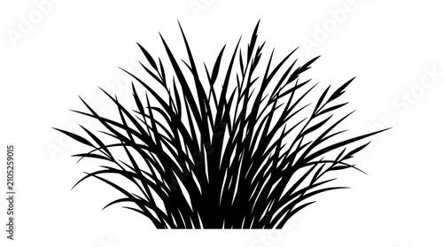 CAD tree lines,  Black grass, Black grass silhouette vector, wild meadow plant tuft isolated on white, botanical field grass clump for landscape design and garden illustrations Vector