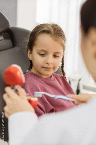 A young girl attentively watches as a dentist demonstrates proper brushing techniques using a dental model