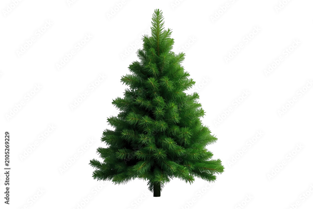 Obraz premium Festive christmas tree isolated on a transparent background, ready for holiday season designs and winter celebrations