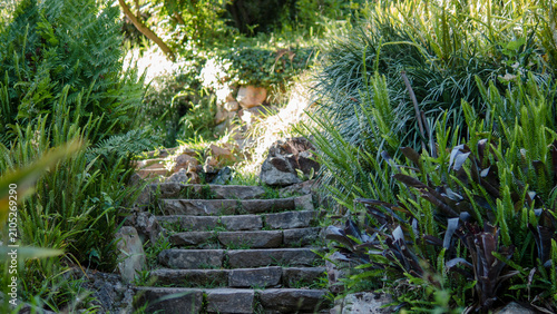 Billede på lærred tropical garden stone staircase surrounded by lush ferns and exotic plants
