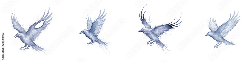 Obraz premium Four ethereal glowing ravens in flight isolated on a black background