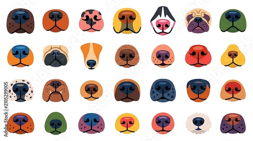 Collection of diverse dog noses variety