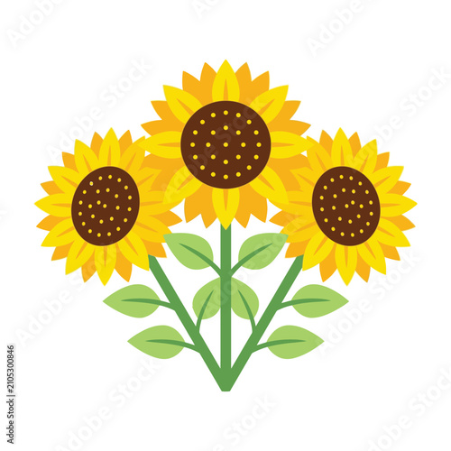 Three bright sunflowers with green leaves on white background illustration
