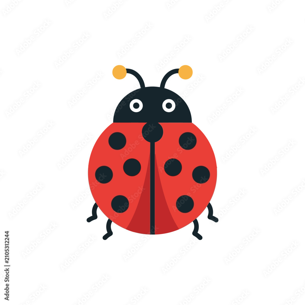 Fototapeta premium Cute Red Ladybug Insect Illustration, Flat Design, Isolated on White Background