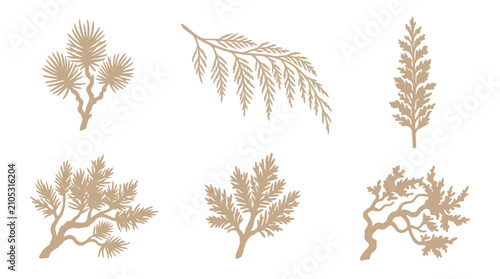 Botanical branch elements