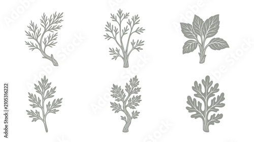 Botanical branch leaf set