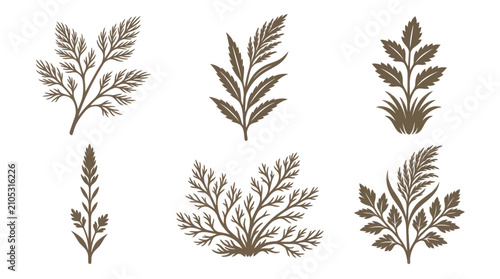 Botanical branch leaf plant design elements