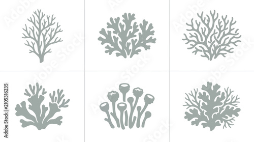 Botanical branch plant silhouette collection