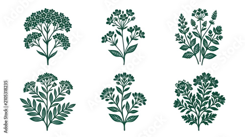 Canvastavla Collection of botanical floral elements