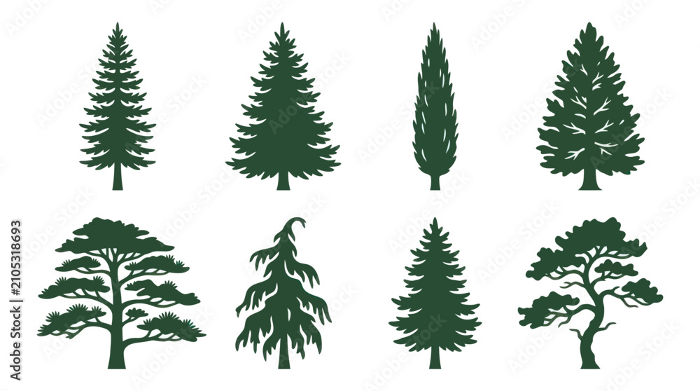 Obraz premium Collection of evergreen tree silhouettes